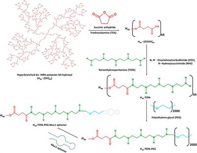 MUC1 aptamer-tethered H40-TEPA-PEG nanoconjugates for targeted siRNA-delivery and gene silencing in breast cancer cells